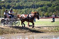 Photo n 46163&#10;Champ. de Normandie. EVREUX 2018. Photo N. TOUDIC&#10;Philippe THIEBAUT&#10;Affiche 52 fois&#10;Ajoute le 07/09/2018 15:06:16 par Nadinetoudic&#10;&#10;--> Cliquer pour agrandir <--