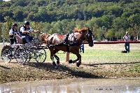 Photo n° 46163
Champ. de Normandie. EVREUX 2018. Photo N. TOUDIC
Philippe THIEBAUT
Affichée 49 fois
Ajoutée le 07/09/2018 15:06:16 par Nadinetoudic

--> Cliquer pour agrandir <--