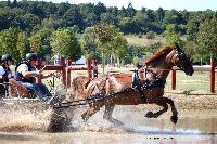 Photo n 46164&#10;Champ. de Normandie. EVREUX 2018. Photo N. TOUDIC&#10;Philippe THIEBAUT&#10;Affiche 12 fois&#10;Ajoute le 07/09/2018 15:06:16 par Nadinetoudic&#10;&#10;--> Cliquer pour agrandir <--