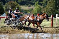 Photo n 46165&#10;Champ. de Normandie. EVREUX 2018. Photo N. TOUDIC&#10;Philippe THIEBAUT&#10;Affiche 9 fois&#10;Ajoute le 07/09/2018 15:06:16 par Nadinetoudic&#10;&#10;--> Cliquer pour agrandir <--