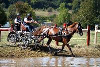 Photo n° 46165
Champ. de Normandie. EVREUX 2018. Photo N. TOUDIC
Philippe THIEBAUT
Affichée 6 fois
Ajoutée le 07/09/2018 15:06:16 par Nadinetoudic

--> Cliquer pour agrandir <--