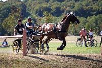 Photo n 46166&#10;Champ. de Normandie. EVREUX 2018. Photo N. TOUDIC&#10;Pascal FOUCARD&#10;Affiche 23 fois&#10;Ajoute le 07/09/2018 15:06:16 par Nadinetoudic&#10;&#10;--> Cliquer pour agrandir <--