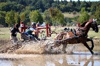 Photo n 46168&#10;Champ. de Normandie. EVREUX 2018. Photo N. TOUDIC&#10;Pascal FOUCARD&#10;Affiche 55 fois&#10;Ajoute le 07/09/2018 15:06:17 par Nadinetoudic&#10;&#10;--> Cliquer pour agrandir <--
