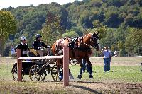 Photo n 46169&#10;Champ. de Normandie. EVREUX 2018. Photo N. TOUDIC&#10;Sabine MIOSSEC de LARRARD&#10;Affiche 20 fois&#10;Ajoute le 07/09/2018 15:06:17 par Nadinetoudic&#10;&#10;--> Cliquer pour agrandir <--