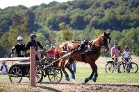 Photo n 46170&#10;Champ. de Normandie. EVREUX 2018. Photo N. TOUDIC&#10;Sabine MIOSSEC de LARRARD&#10;Affiche 10 fois&#10;Ajoute le 07/09/2018 15:06:17 par Nadinetoudic&#10;&#10;--> Cliquer pour agrandir <--