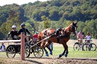 Photo n° 46170
Champ. de Normandie. EVREUX 2018. Photo N. TOUDIC
Sabine MIOSSEC de LARRARD
Affichée 8 fois
Ajoutée le 07/09/2018 15:06:17 par Nadinetoudic

--> Cliquer pour agrandir <--