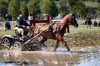 Photo n 46171&#10;Champ. de Normandie. EVREUX 2018. Photo N. TOUDIC&#10;Sabine MIOSSEC de LARRARD&#10;Affiche 21 fois&#10;Ajoute le 07/09/2018 15:06:17 par Nadinetoudic&#10;&#10;--> Cliquer pour agrandir <--