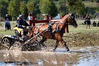 Photo n° 46171
Champ. de Normandie. EVREUX 2018. Photo N. TOUDIC
Sabine MIOSSEC de LARRARD
Affichée 18 fois
Ajoutée le 07/09/2018 15:06:17 par Nadinetoudic

--> Cliquer pour agrandir <--