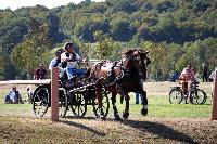 Photo n 46172&#10;Champ. de Normandie. EVREUX 2018. Photo N. TOUDIC&#10;David GUERIN&#10;Affiche 20 fois&#10;Ajoute le 07/09/2018 15:06:17 par Nadinetoudic&#10;&#10;--> Cliquer pour agrandir <--