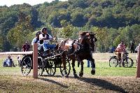 Photo n° 46172
Champ. de Normandie. EVREUX 2018. Photo N. TOUDIC
David GUERIN
Affichée 16 fois
Ajoutée le 07/09/2018 15:06:17 par Nadinetoudic

--> Cliquer pour agrandir <--