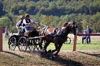 Photo n 46173&#10;Champ. de Normandie. EVREUX 2018. Photo N. TOUDIC&#10;David GUERIN&#10;Affiche 14 fois&#10;Ajoute le 07/09/2018 15:06:17 par Nadinetoudic&#10;&#10;--> Cliquer pour agrandir <--