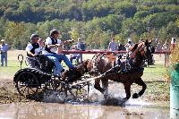Photo n 46174&#10;Champ. de Normandie. EVREUX 2018. Photo N. TOUDIC&#10;David GUERIN&#10;Affiche 18 fois&#10;Ajoute le 07/09/2018 15:06:17 par Nadinetoudic&#10;&#10;--> Cliquer pour agrandir <--