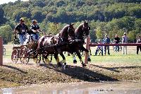 Photo n 46176&#10;Champ. de Normandie. EVREUX 2018. Photo N. TOUDIC&#10;Maxime MARICOURT&#10;Affiche 42 fois&#10;Ajoute le 07/09/2018 15:06:17 par Nadinetoudic&#10;&#10;--> Cliquer pour agrandir <--