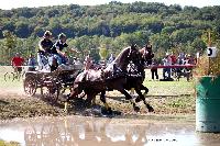 Photo n 46177&#10;Champ. de Normandie. EVREUX 2018. Photo N. TOUDIC&#10;Maxime MARICOURT&#10;Affiche 15 fois&#10;Ajoute le 07/09/2018 15:06:17 par Nadinetoudic&#10;&#10;--> Cliquer pour agrandir <--