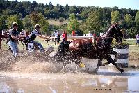 Photo n 46178&#10;Champ. de Normandie. EVREUX 2018. Photo N. TOUDIC&#10;Maxime MARICOURT&#10;Affiche 13 fois&#10;Ajoute le 07/09/2018 15:06:17 par Nadinetoudic&#10;&#10;--> Cliquer pour agrandir <--