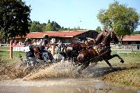 Photo n 46179&#10;Champ. de Normandie. EVREUX 2018. Photo N. TOUDIC&#10;Maxime MARICOURT&#10;Affiche 35 fois&#10;Ajoute le 07/09/2018 15:06:17 par Nadinetoudic&#10;&#10;--> Cliquer pour agrandir <--