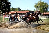 Photo n° 46179
Champ. de Normandie. EVREUX 2018. Photo N. TOUDIC
Maxime MARICOURT
Affichée 33 fois
Ajoutée le 07/09/2018 15:06:17 par Nadinetoudic

--> Cliquer pour agrandir <--