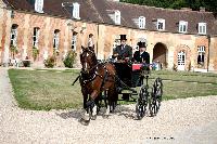 Photo n 46205&#10;CIAT HarasNationalduPin.2018 Photo. N. TOUDIC&#10;Alain BAHUCHET. FR. Franche Montagne. Spider&#10;Affiche 29 fois&#10;Ajoute le 17/09/2018 17:05:58 par Nadinetoudic&#10;&#10;--> Cliquer pour agrandir <--