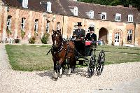 Photo n° 46205
CIAT HarasNationalduPin.2018 Photo. N. TOUDIC
Alain BAHUCHET. FR. Franche Montagne. Spider
Affichée 27 fois
Ajoutée le 17/09/2018 17:05:58 par Nadinetoudic

--> Cliquer pour agrandir <--