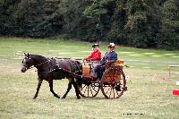 Photo n 46215&#10;CIAT HarasNationalduPin.2018 Photo. N. TOUDIC&#10;Sabine CHEENNE. FR. Poney Franais de selle. 1/2 Tonneau&#10;Affiche 65 fois&#10;Ajoute le 17/09/2018 17:05:59 par Nadinetoudic&#10;&#10;--> Cliquer pour agrandir <--