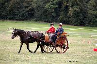 Photo n° 46215
CIAT HarasNationalduPin.2018 Photo. N. TOUDIC
Sabine CHEENNE. FR. Poney Français de selle. 1/2 Tonneau
Affichée 61 fois
Ajoutée le 17/09/2018 17:05:59 par Nadinetoudic

--> Cliquer pour agrandir <--