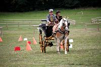 Photo n 46217&#10;CIAT HarasNationalduPin.2018 Photo. N. TOUDIC&#10;Albert LOCKEFEER. NL. Haflinger. Spider AUTRICHIEN&#10;Affiche 14 fois&#10;Ajoute le 17/09/2018 17:05:59 par Nadinetoudic&#10;&#10;--> Cliquer pour agrandir <--