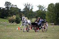 Photo n 46231&#10;CIAT HarasNationalduPin2018 Photo N. TOUDIC&#10;Ides CORNILLIE. BEL. Cheval de pure race espagnole. Voiture : Petit Duc&#10;Affiche 51 fois&#10;Ajoute le 18/09/2018 08:40:24 par Nadinetoudic&#10;&#10;--> Cliquer pour agrandir <--