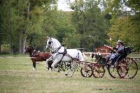 Photo n 46234&#10;CIAT HarasNationalduPin2018 Photo N. TOUDIC&#10;Ides CORNILLIE. BEL. Cheval de pure race espagnole. Voiture : Petit Duc&#10;Affiche 29 fois&#10;Ajoute le 18/09/2018 08:40:24 par Nadinetoudic&#10;&#10;--> Cliquer pour agrandir <--