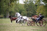 Photo n° 46234
CIAT HarasNationalduPin2018 Photo N. TOUDIC
Ides CORNILLIE. BEL. Cheval de pure race espagnole. Voiture : Petit Duc
Affichée 18 fois
Ajoutée le 18/09/2018 08:40:24 par Nadinetoudic

--> Cliquer pour agrandir <--