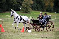 Photo n 46236&#10;CIAT HarasNationalduPin2018 Photo N. TOUDIC&#10;Ides CORNILLIE. BEL. Cheval de pure race espagnole. Voiture : Petit Duc&#10;Affiche 220 fois&#10;Ajoute le 18/09/2018 08:40:24 par Nadinetoudic&#10;&#10;--> Cliquer pour agrandir <--