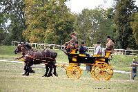 Photo n 46246&#10;CIAT HarasNationalduPin2018 Photo N. TOUDIC&#10;Patrice BIGET. FR. Percherons Amricains. Break de Chasse&#10;Affiche 33 fois&#10;Ajoute le 18/09/2018 08:40:25 par Nadinetoudic&#10;&#10;--> Cliquer pour agrandir <--