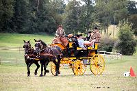 Photo n 46247&#10;CIAT HarasNationalduPin2018 Photo N. TOUDIC&#10;Patrice BIGET. FR. Percherons Amricains. Break de Chasse&#10;Affiche 21 fois&#10;Ajoute le 18/09/2018 08:40:25 par Nadinetoudic&#10;&#10;--> Cliquer pour agrandir <--