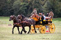 Photo n 46248&#10;CIAT HarasNationalduPin2018 Photo N. TOUDIC&#10;Patrice BIGET. FR. Percherons Amricains. Break de Chasse&#10;Affiche 26 fois&#10;Ajoute le 18/09/2018 08:40:25 par Nadinetoudic&#10;&#10;--> Cliquer pour agrandir <--