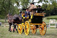 Photo n 46250&#10;CIAT HarasNationalduPin2018 Photo N. TOUDIC&#10;Patrice BIGET. FR. Percherons Amricains. Break de Chasse&#10;Affiche 20 fois&#10;Ajoute le 18/09/2018 08:40:25 par Nadinetoudic&#10;&#10;--> Cliquer pour agrandir <--