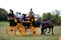 Photo n 46251&#10;CIAT HarasNationalduPin2018 Photo N. TOUDIC&#10;Patrice BIGET. FR. Percherons Amricains. Break de Chasse&#10;Affiche 127 fois&#10;Ajoute le 18/09/2018 08:40:25 par Nadinetoudic&#10;&#10;--> Cliquer pour agrandir <--