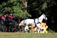 Photo n 46283&#10;CDF Trec en Attelage. Moutiers au Perche 2018. &#10;Sbastien TRAVERS
Photo Nadine TOUDIC&#10;Affiche 24 fois&#10;Ajoute le 02/10/2018 11:31:38 par Nadinetoudic&#10;&#10;--> Cliquer pour agrandir <--