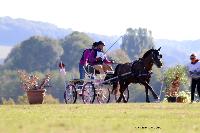 Photo n 46284&#10;CDF Trec en Attelage. Moutiers au Perche 2018. &#10;Jrme JAUNEAU
Photo Nadine TOUDIC&#10;Affiche 19 fois&#10;Ajoute le 02/10/2018 11:31:38 par Nadinetoudic&#10;&#10;--> Cliquer pour agrandir <--