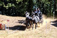 Photo n 46286&#10;CDF Trec en Attelage. Moutiers au Perche 2018. &#10;Eric PAFFRATH
Photo Nadine TOUDIC&#10;Affiche 15 fois&#10;Ajoute le 02/10/2018 11:31:38 par Nadinetoudic&#10;&#10;--> Cliquer pour agrandir <--