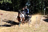 Photo n 46289&#10;CDF Trec en Attelage. Moutiers au Perche 2018. &#10;Marion VONESCH KLIPFEL
Photo Nadine TOUDIC&#10;Affiche 33 fois&#10;Ajoute le 02/10/2018 11:31:38 par Nadinetoudic&#10;&#10;--> Cliquer pour agrandir <--