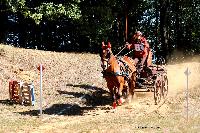 Photo n 46290&#10;CDF Trec en Attelage. Moutiers au Perche 2018. &#10;Batrice GIOVANNONI
Photo Nadine TOUDIC&#10;Affiche 24 fois&#10;Ajoute le 02/10/2018 11:31:38 par Nadinetoudic&#10;&#10;--> Cliquer pour agrandir <--