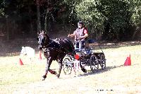 Photo n 46291&#10;CDF Trec en Attelage. Moutiers au Perche 2018. &#10;Jeanne PALLIER
Photo Nadine TOUDIC&#10;Affiche 24 fois&#10;Ajoute le 02/10/2018 11:31:38 par Nadinetoudic&#10;&#10;--> Cliquer pour agrandir <--