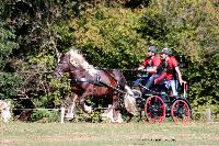 Photo n° 46292
CDF Trec en Attelage. Moutiers au Perche 2018. 
Cédric VITTE
Photo Nadine TOUDIC
Affichée 19 fois
Ajoutée le 02/10/2018 11:31:38 par Nadinetoudic

--> Cliquer pour agrandir <--