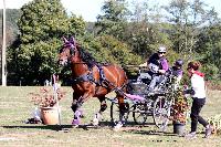 Photo n 46294&#10;CDF Trec en Attelage. Moutiers au Perche 2018. &#10;Philippe REGNET
Photo Nadine TOUDIC&#10;Affiche 29 fois&#10;Ajoute le 02/10/2018 11:31:38 par Nadinetoudic&#10;&#10;--> Cliquer pour agrandir <--