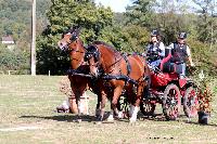 Photo n 46299&#10;CDF Trec en Attelage. Moutiers au Perche 2018. &#10;Guylaine DECHAMBRE
Photo Nadine TOUDIC&#10;Affiche 34 fois&#10;Ajoute le 02/10/2018 11:31:38 par Nadinetoudic&#10;&#10;--> Cliquer pour agrandir <--