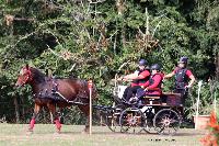 Photo n 46302&#10;CDF Trec en Attelage. Moutiers au Perche 2018. &#10;Elodie BROUILLET
Photo Nadine TOUDIC&#10;Affiche 85 fois&#10;Ajoute le 02/10/2018 11:31:39 par Nadinetoudic&#10;&#10;--> Cliquer pour agrandir <--