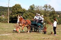 Photo n 46303&#10;CDF Trec en Attelage. Moutiers au Perche 2018. &#10;Miranda FUOG
Photo Nadine TOUDIC&#10;Affiche 18 fois&#10;Ajoute le 02/10/2018 11:31:39 par Nadinetoudic&#10;&#10;--> Cliquer pour agrandir <--