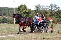 Photo n 46307&#10;CDF Trec en Attelage. Moutiers au Perche 2018. &#10;Rgis GUERIN
Photo Nadine TOUDIC&#10;Affiche 68 fois&#10;Ajoute le 02/10/2018 11:31:39 par Nadinetoudic&#10;&#10;--> Cliquer pour agrandir <--