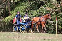 Photo n 46308&#10;CDF Trec en Attelage. Moutiers au Perche 2018. &#10;Danile AMAR
Photo Nadine TOUDIC&#10;Affiche 76 fois&#10;Ajoute le 02/10/2018 11:31:39 par Nadinetoudic&#10;&#10;--> Cliquer pour agrandir <--