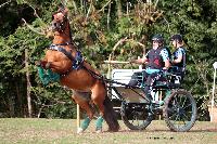 Photo n 46309&#10;CDF Trec en Attelage. Moutiers au Perche 2018. &#10;Didier JARROUSSE
Photo Nadine TOUDIC&#10;Affiche 112 fois&#10;Ajoute le 02/10/2018 11:31:39 par Nadinetoudic&#10;&#10;--> Cliquer pour agrandir <--