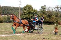 Photo n 46310&#10;CDF Trec en Attelage. Moutiers au Perche 2018. &#10;Didier JARROUSSE
Photo Nadine TOUDIC&#10;Affiche 34 fois&#10;Ajoute le 02/10/2018 11:31:39 par Nadinetoudic&#10;&#10;--> Cliquer pour agrandir <--